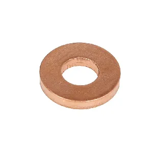 Zaptivni prsten, držač dizne ELRING EL650510 IC-E34B61