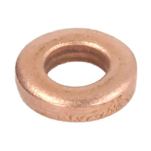 Zaptivni prsten, držač dizne ENGITECH ENT250059/1 IC-G0UYCC