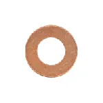 Zaptivni prsten, držač dizne REINZ 40-70048-00 IC-G08315