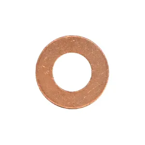 Zaptivni prsten, držač dizne REINZ 40-70048-00 IC-G08315