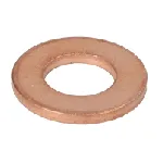 Zaptivni prsten, držač dizne REINZ 40-70048-00 IC-G08315