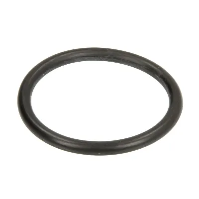 Zaptivni prsten ELRING EL267850 IC-F4B237