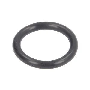 Zaptivni prsten ELRING EL886810 IC-F4B239