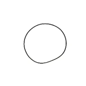 Zaptivni prsten EURORICAMBI 30170311 IC-D0705D