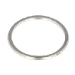 Zaptivni prsten, izduvna cev AJUSA AJU19005300 IC-DAEDD6