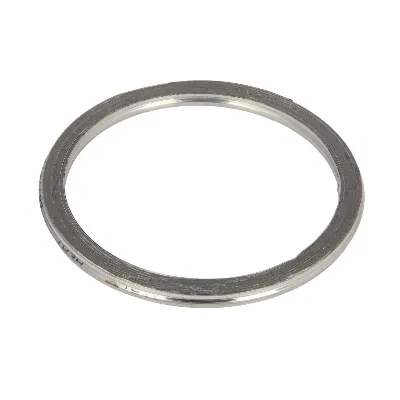 Zaptivni prsten, izduvna cev AJUSA AJU19005500 IC-DAEDD8