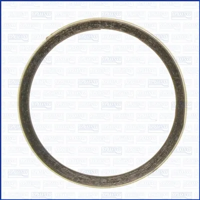 Zaptivni prsten, izduvna cev AJUSA AJU19005500 IC-DAEDD8