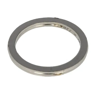 Zaptivni prsten, izduvna cev AJUSA AJU19006200 IC-G0LW33