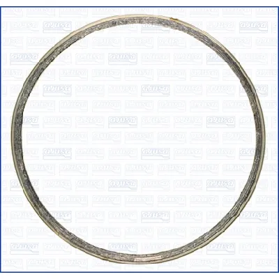 Zaptivni prsten, izduvna cev AJUSA AJU19006600 IC-G0LW37