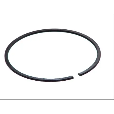 Zaptivni prsten, izduvna cev DT KLIMA 1.12810 IC-BA02F3