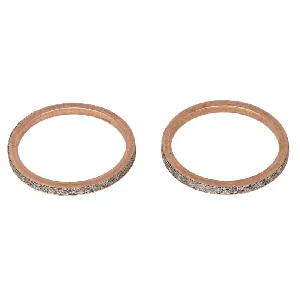 Zaptivni prsten, izduvna cev WINDEROSA W823031 IC-E202C2