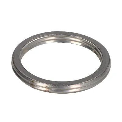 Zaptivni prsten, izduvna cev WINDEROSA W823076 IC-E202E8