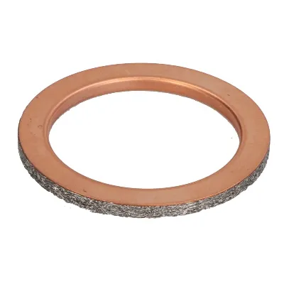 Zaptivni prsten, izduvna cev WINDEROSA W823091 IC-E202EF