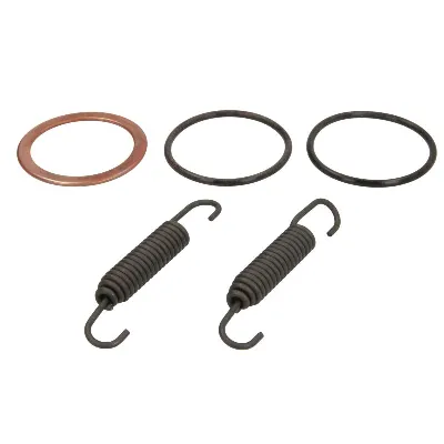 Zaptivni prsten, izduvna cev WINDEROSA W823101 IC-E202F8