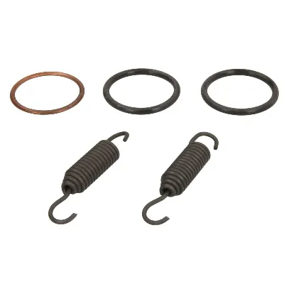 Zaptivni prsten, izduvna cev WINDEROSA W823109 IC-E20300