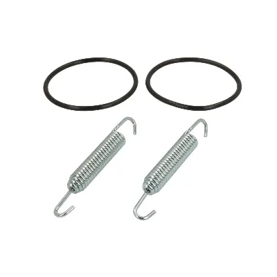 Zaptivni prsten, izduvna cev WINDEROSA W823140 IC-E2031D