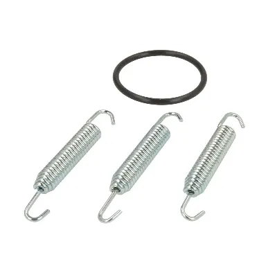 Zaptivni prsten, izduvna cev WINDEROSA W823141 IC-E2031E