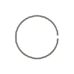 Zaptivni prsten, izduvna grana DT KLIMA 1.10882 IC-F5FD00