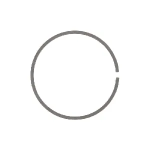 Zaptivni prsten, izduvna grana DT KLIMA 1.10882 IC-F5FD00