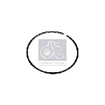 Zaptivni prsten, izduvna grana DT KLIMA 1.10882 IC-F5FD00