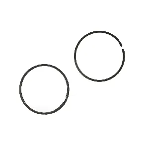 Zaptivni prsten, izduvna grana DT KLIMA 1.33240 IC-BAD9C8