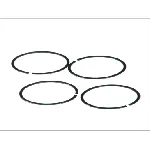 Zaptivni prsten, izduvna grana DT KLIMA 3.18162 IC-BBF9A2