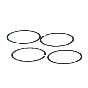 Zaptivni prsten, izduvna grana DT KLIMA 3.18162 IC-BBF9A2