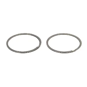 Zaptivni prsten, izduvna grana DT KLIMA 4.20581 IC-BF3AB7