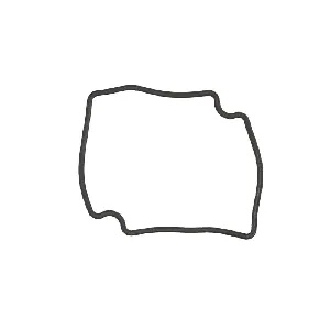 Zaptivni prsten, karburator PARSUN F6-04060020 IC-G048YT