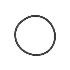 Zaptivni prsten, karburator PARSUN GB/T3452.1-34.4X1.8 IC-G051VZ