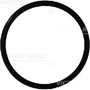 Zaptivni prsten REINZ 40-76165-00 IC-F6094A