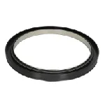 Zaptivni prsten ZF 0734300225ZF IC-DDD334