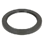 Zaptivni prsten ZF 0734319791ZF IC-F53912