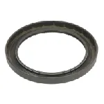 Zaptivni prsten ZF 0734319792ZF IC-F53911