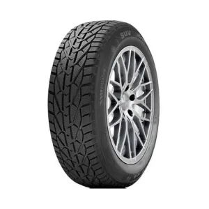 Zimska Guma Tigar 195/65 R15 91H TL WINTER TG B-91372314